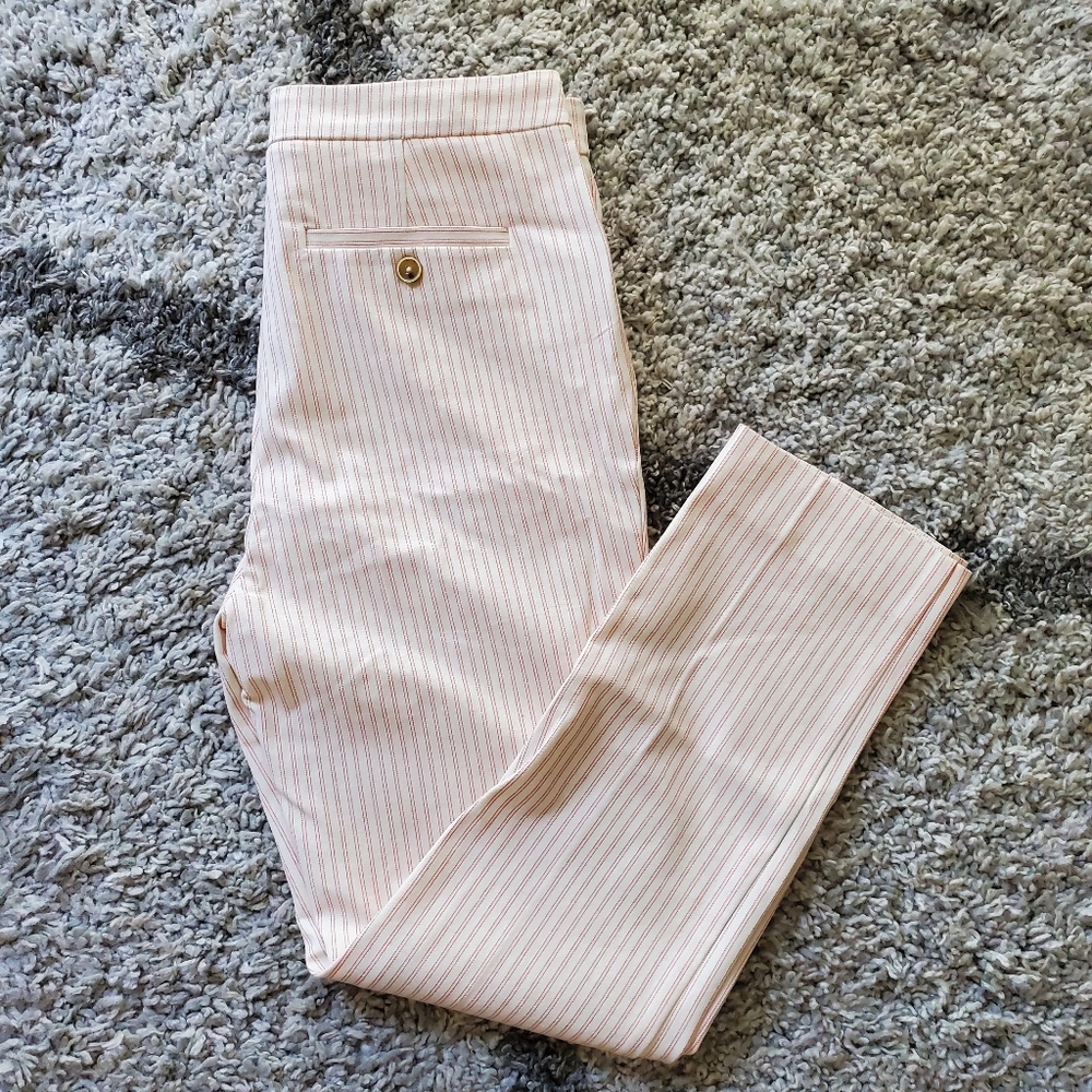 NWT Anthropologie The Essential Slim Trousers
